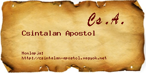 Csintalan Apostol névjegykártya